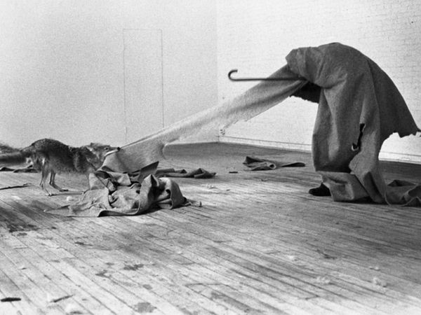 Joseph Beuys at the René Block Gallery - I Like Amerika And Amerika Likes Me - Caroline Tisdall said: The coyote was the one who influenced the rhythm of all the elements of this performance.